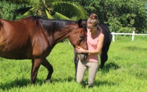 Jessica Deschamps : « travailler avec des chevaux, c’était mon rêve »