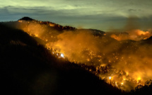 La planète ravagée par des incendies depuis un an