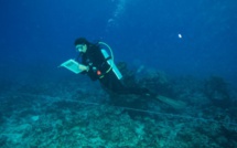 L’Ifrecor : appel à projets pour le corail