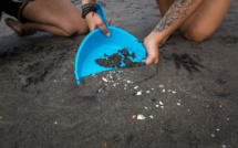 Les fonds marins jonchés de 14 millions de tonnes de microplastiques, selon une étude australienne