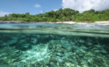 Le Covid-19 épargne les Seychelles, mais touche durement son tourisme