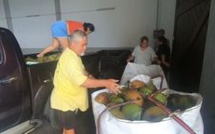 Les Raromatai exportent leurs cocos