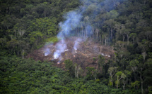 Brésil: la déforestation repart à la hausse en Amazonie