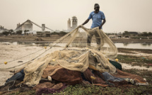 Sénégal: des centaines de pêcheurs touchés par une mystérieuse maladie cutanée