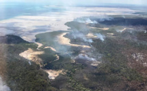 Australie: l'Île Fraser ravagée par les feux de forêt