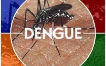 Dengue: le risque d'épidémie s'accroît