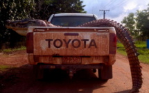 Un crocodile de 4,5 mètres abattu près dans le nord de l'Australie
