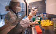 La biotech nantaise Xenothera mène un essai clinique pour un traitement contre le Covid