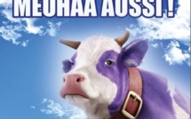 Insolite : la vache Milka fait sourire la campagne