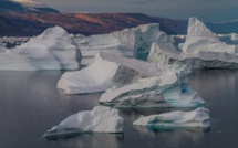 Le Groenland a été libre des glaces il y a un million d'années