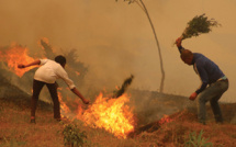 Le Népal connaît ses feux de forêt les plus violents de la décennie