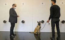 Un médecin libanais mise sur le flair des chiens pour freiner le coronavirus