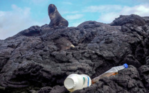 Pollution plastique: un outil de prévision pour aider les Galapagos