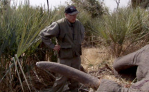 Colère après une vidéo du patron du lobby pro-armes américain tirant sur un éléphant