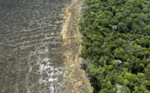 Brésil : déforestation record en Amazonie en avril