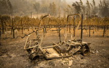 Sécheresse et feux de forêt: la Californie retient son souffle pour les mois à venir