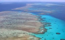 Des chasseurs américains larguent des bombes sur la Grande Barrière de corail