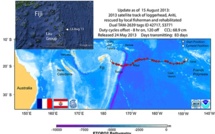 La tortue Ariti est arrivée aux îles Fidji