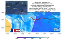 La tortue Ariti toujours à Fidji