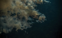 L'Amazonie vacille près du point de non-retour