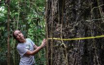 "Nous ne pouvons pas vivre dans un monde sans Amazonie", dit une scientifique