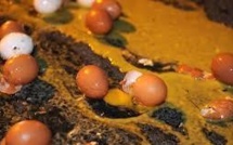 Toulouse: un poids lourd provoque une omelette géante sur le périphérique