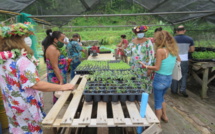 Ecole en santé : Moorea inspire Punaauia