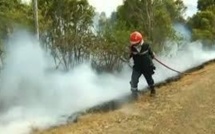 N-Calédonie:un important feu maîtrisé, 13 communes en alerte rouge