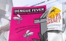 Épidémie de dengue à Fidji : près d’un millier de cas
