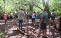 Moorea : un tour de l'île pour valoriser les zones humides