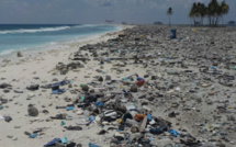 ​“Clipperton est loin d'être une île déserte”