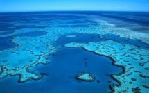 L'Australie défend des progrès "substantiels" dans la protection de la Grande barrière de corail