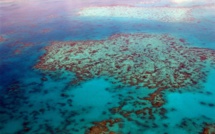 Grande barrière de corail: l'ONU étudie un classement "en péril"