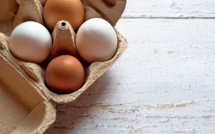 USA: le prix des œufs proche des records, propulsé par la grippe aviaire