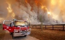 Chaleurs extrêmes et feux de forêts vont croître en Australie