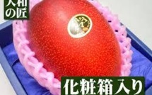 Deux mangues vendues plus de 2.000 euros au Japon