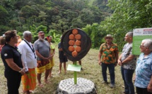 A Punaauia, l'orange est à nouveau à la fête