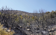 Sur leur île divisée, Chypriotes grecs et turcs luttent ensemble contre le feu