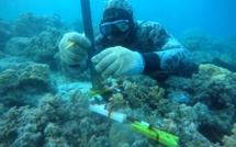 Les pêcheurs de Moorea, informateurs des chercheurs