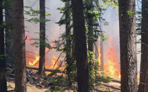 Etats-Unis: un incendie menace les séquoias géants du parc de Yosemite