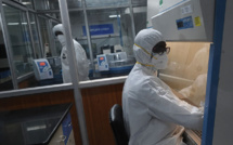 Mort en Inde d'un homme contaminé par la variole du singe
