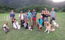 ​A Moorea, un club canin pour “améliorer l'éducation des animaux”