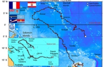 Tortue Ariti : 11 278 Kms parcourus en une année