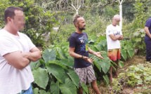 La permaculture en prison, une autre façon de voir le futur