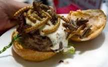 USA: hamburgers à la sauterelle et sucette au scorpion, pour la bonne cause