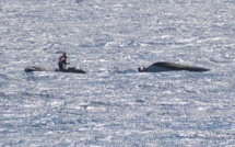 Un poti marara se renverse à Papenoo