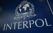 Opération d'Interpol dans les Caraïbes: 50 interpellations en Guadeloupe