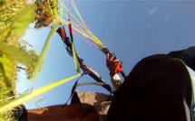 Le parapentiste termine sa descente dans un arbre