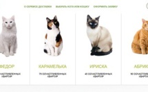 Une banque russe prête des chats à ses clients