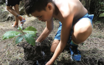 L'avenir du kouariki dans les mains des jeunes Mangaréviens